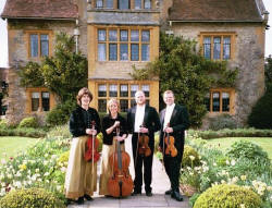 hired string quartet in garden of wedding venue