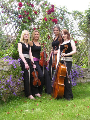 wedding string quartet by climibing rose