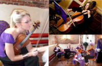 The BSI String Quartet