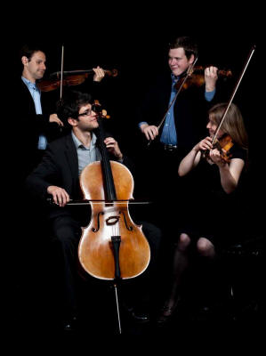 The EM String Quartet
