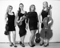 The TM String Quartet in Croydon, 