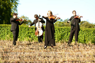 The EK String Quartet