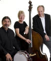 The TS Jazz Trio in Chertsey, Surrey