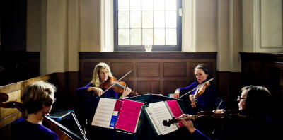 The AD String Quartet Quartet in purple. They play in Tyne & Wear
