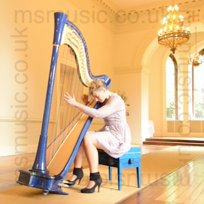 Harpist - Jemima in Marlow, Buckinghamshire
