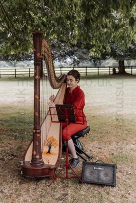 Harpist - Scarlett new harp 2
