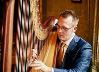Harpist - Llwelyn in Somerset