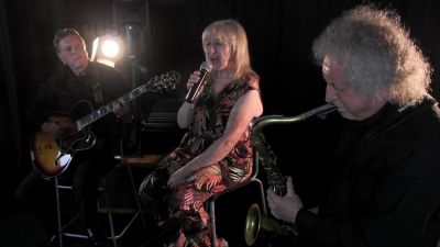 EX Jazz Trio  in Cannock, Staffordshire