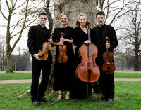The SI String Quartet