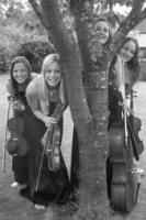 The KG String Quartet