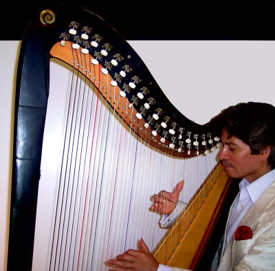 Latin American harpist - Ricardo
