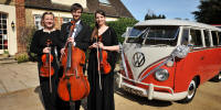 The VY String Quartet