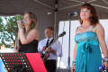 The CZ Party Band in Fareham, Hampshire