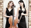 The LD Flute & Harp Duo in Wiltshire
