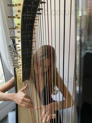 Amy - Harpist through strings
