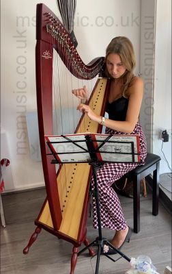 Amy - Harpist with stand
