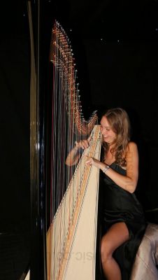 Amie - Harpist 
